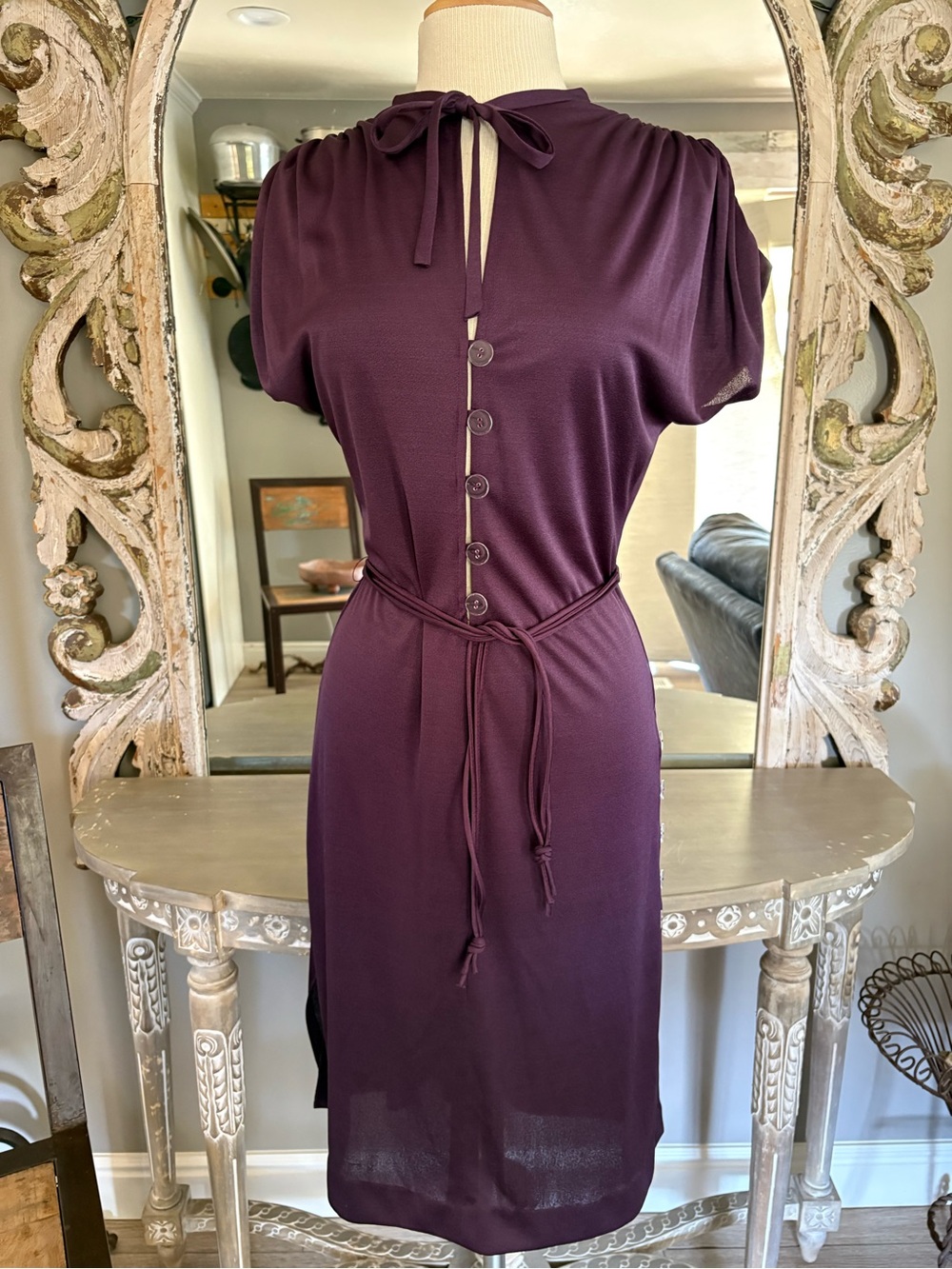 Gorgeous Plum 1970’s Sexy Disco Dress by Funky